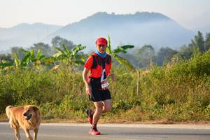 BIB: 
                            <button type="button" onclick="openModal(6833275)" class="btn btn-primary btn-sm float-right btn-popup" data-toggle="modal" data-target=".modal-high-quality">
                        <i class="fas fa-shopping-cart"></i> Add to Cart
                    </button>
                                            <button type="button" onclick="isThisMe(6833275, true)" class="btn btn-success btn-sm float-right btn-popup btn-isme hidden" data-toggle="tooltip" data-placement="bottom" title="นี่คือรูปของคุณใช่ไหม คลิกที่นี่เพื่อเอาเข้าอัลบั้ม">
                        <i class="fas fa-plus"></i> Add to album
                    </button>
                    <button type="button" onclick="isThisMe(6833275, false)" class="btn btn-warning btn-sm float-right btn-popup btn-isnotme hidden">
                        <i class="fas fa-ban"></i> Remove from album
                    </button>